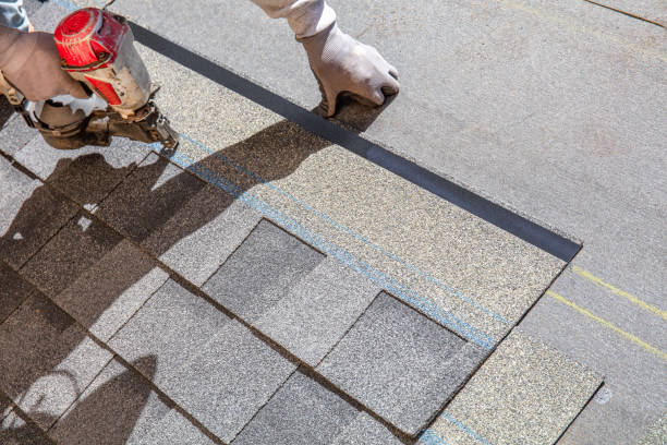 Best Metal Roofing Contractor  in Webster, TX